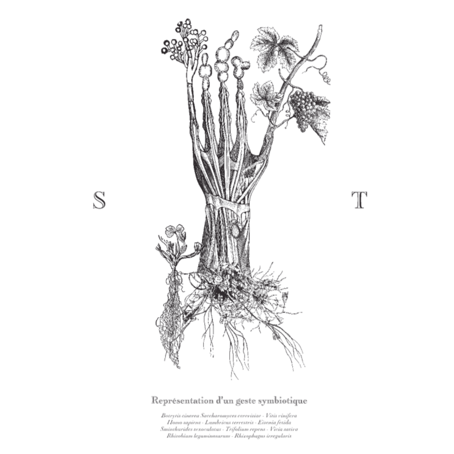 Soil Therapy Le Geste 2023