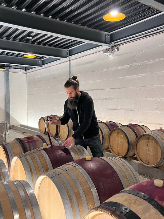 Old Vines, New Vision: The Story of Domaine Le Guellec-Ducouet