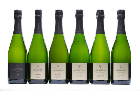 Champagne AGRAPART & FILS Experience 2017